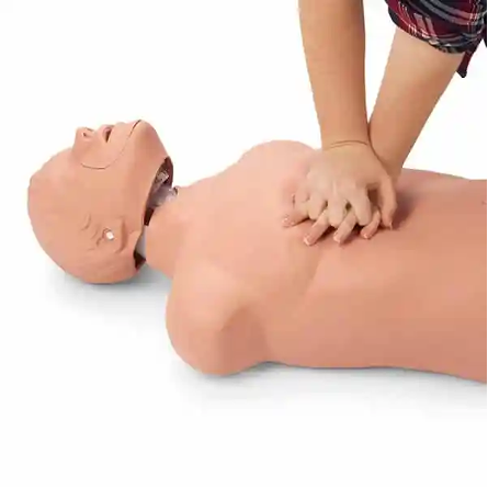MANIQUÍ SIMULAIDS BRAD PARA RCP CON BOLSA DE TRANSPORTE DE NAILON - Imagen 3